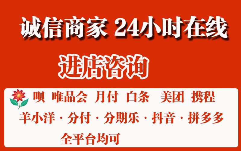 京东白条付费额度怎么套出来（试试这7种方法来帮助您）